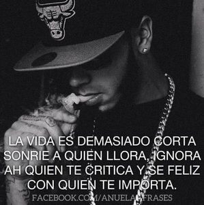 Meet your Posher, Tony